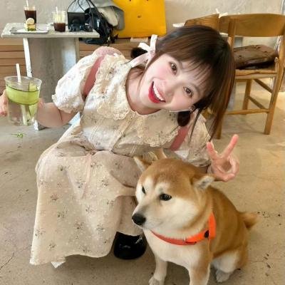 借来的人生故事
